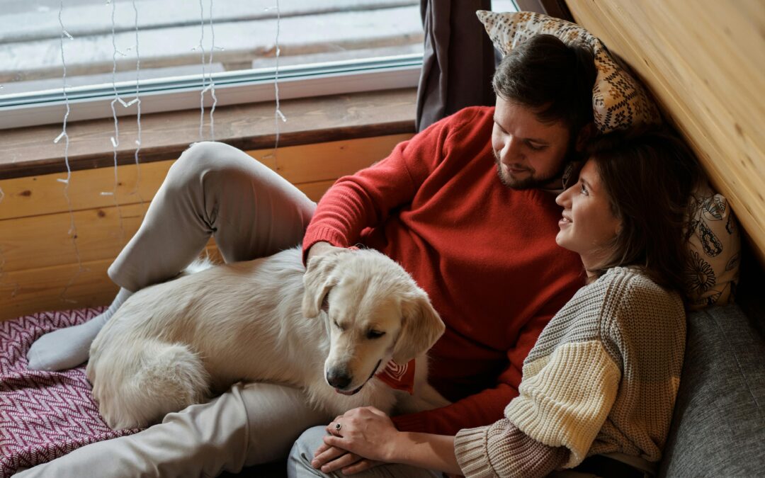 Top Pet Supply Trends Every Pet Owner Should Know in 2026