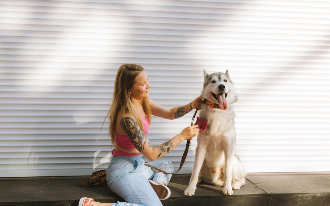 How Pet Grooming Improves Your Pet’s Health and Happiness